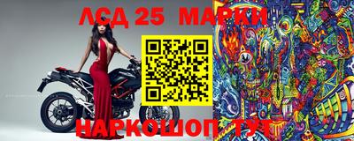 прущие крисы Новокубанск