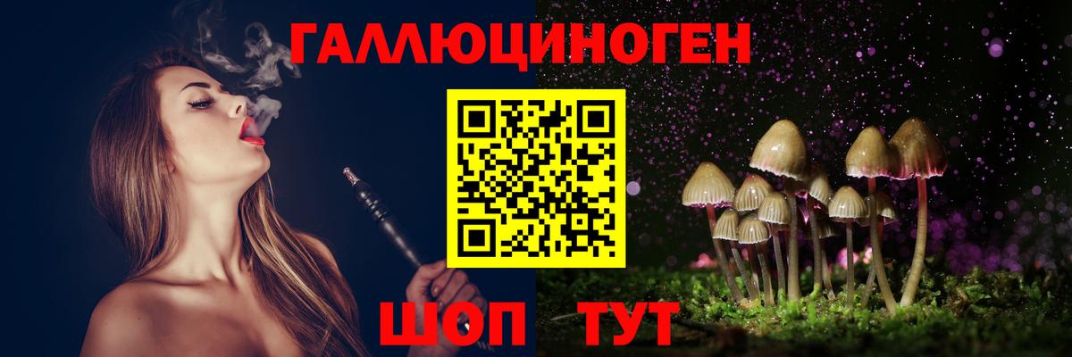 Галлюциногенные грибы Psilocybine cubensis Тула