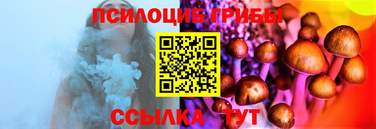 Тула  цены наркотик  Вход с VPN  Псилоцибиновые грибы Psilocybe  Галлюциногенные грибы MAGIC MUSHROOMS 